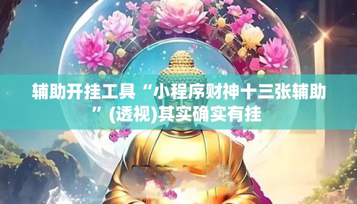 辅助开挂工具“小程序财神十三张辅助	”(透视)其实确实有挂 