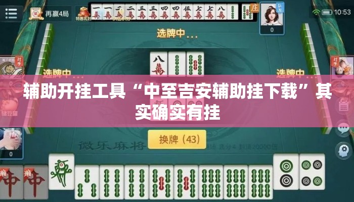 辅助开挂工具“中至吉安辅助挂下载”其实确实有挂