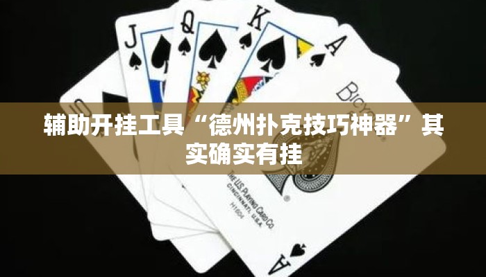 辅助开挂工具“德州扑克技巧神器”其实确实有挂