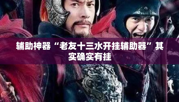 辅助神器“老友十三水开挂辅助器”其实确实有挂