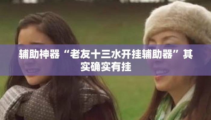 辅助神器“老友十三水开挂辅助器	”其实确实有挂