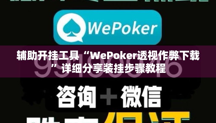 辅助开挂工具“WePoker透视作弊下载”详细分享装挂步骤教程