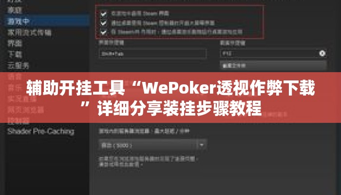 辅助开挂工具“WePoker透视作弊下载	”详细分享装挂步骤教程