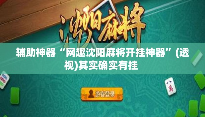 辅助神器“网趣沈阳麻将开挂神器”(透视)其实确实有挂 