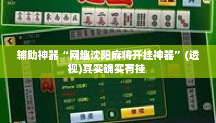 辅助神器“网趣沈阳麻将开挂神器”(透视)其实确实有挂 