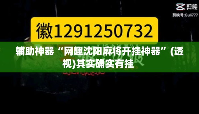 辅助神器“网趣沈阳麻将开挂神器”(透视)其实确实有挂 