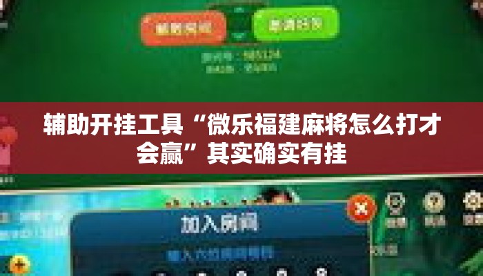 辅助开挂工具“微乐福建麻将怎么打才会赢	”其实确实有挂
