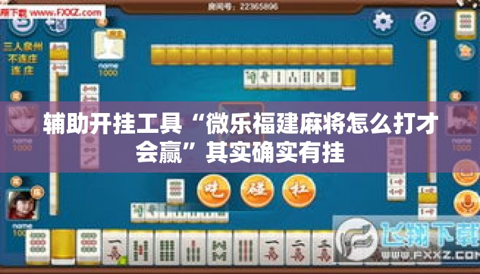 辅助开挂工具“微乐福建麻将怎么打才会赢	”其实确实有挂
