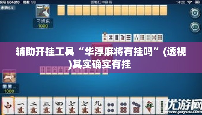 辅助开挂工具“华淳麻将有挂吗”(透视)其实确实有挂 
