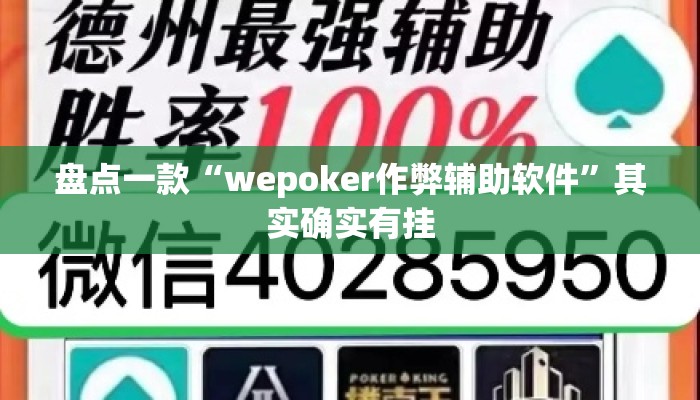 盘点一款“wepoker作弊辅助软件”其实确实有挂