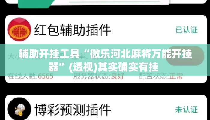辅助开挂工具“微乐河北麻将万能开挂器”(透视)其实确实有挂 