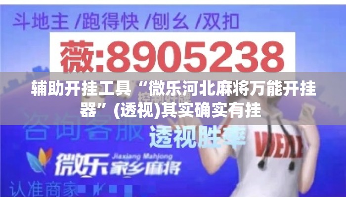 辅助开挂工具“微乐河北麻将万能开挂器”(透视)其实确实有挂 