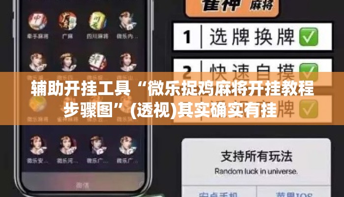 辅助开挂工具“微乐捉鸡麻将开挂教程步骤图”(透视)其实确实有挂 