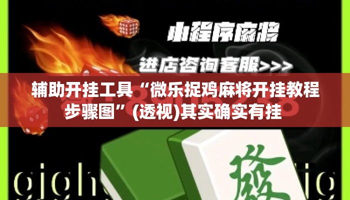 辅助开挂工具“微乐捉鸡麻将开挂教程步骤图”(透视)其实确实有挂 