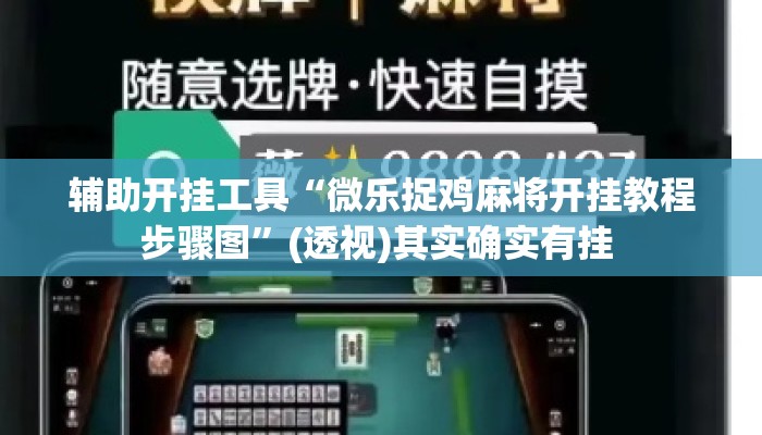 辅助开挂工具“微乐捉鸡麻将开挂教程步骤图	”(透视)其实确实有挂 