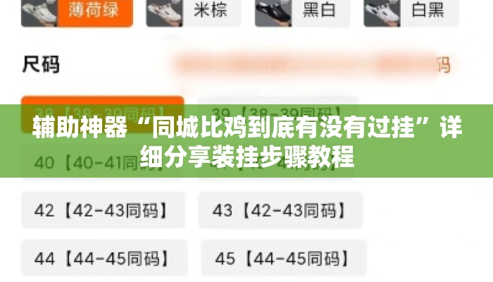辅助神器“同城比鸡到底有没有过挂	”详细分享装挂步骤教程