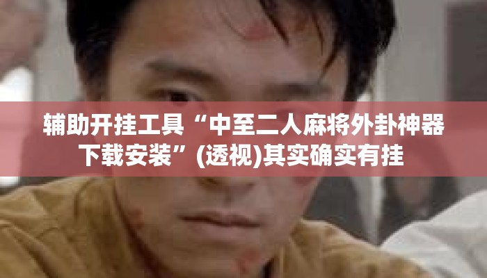 辅助开挂工具“中至二人麻将外卦神器下载安装	”(透视)其实确实有挂 