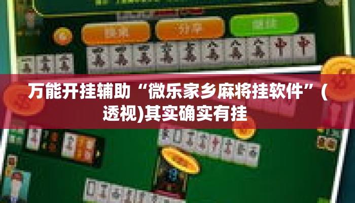 万能开挂辅助“微乐家乡麻将挂软件	”(透视)其实确实有挂 