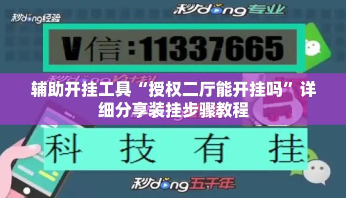 辅助开挂工具“授权二厅能开挂吗”详细分享装挂步骤教程