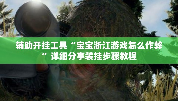 辅助开挂工具“宝宝浙江游戏怎么作弊”详细分享装挂步骤教程