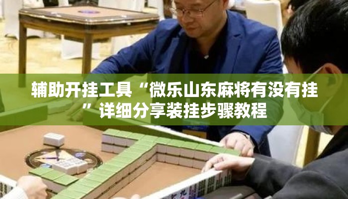 辅助开挂工具“微乐山东麻将有没有挂	”详细分享装挂步骤教程