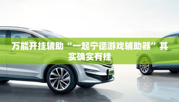 万能开挂辅助“一起宁德游戏辅助器”其实确实有挂