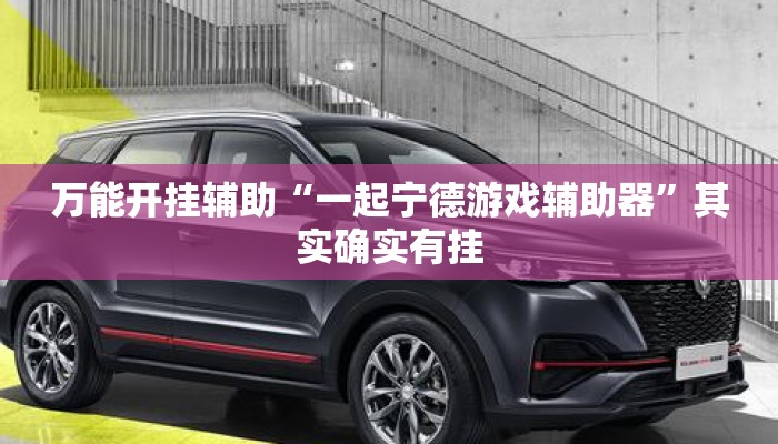 万能开挂辅助“一起宁德游戏辅助器”其实确实有挂