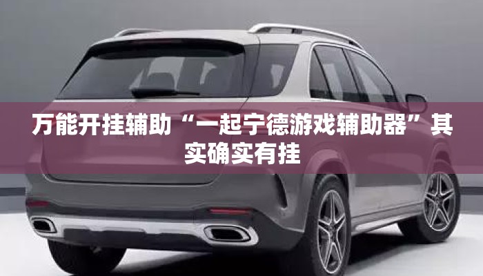 万能开挂辅助“一起宁德游戏辅助器”其实确实有挂