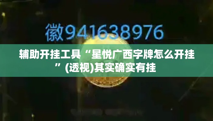 辅助开挂工具“星悦广西字牌怎么开挂	”(透视)其实确实有挂 