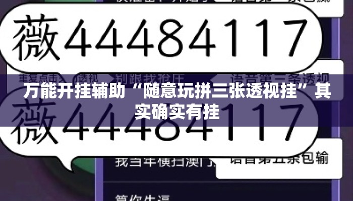 万能开挂辅助“随意玩拼三张透视挂”其实确实有挂