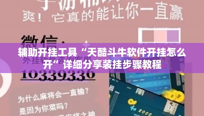 辅助开挂工具“天酷斗牛软件开挂怎么开	”详细分享装挂步骤教程