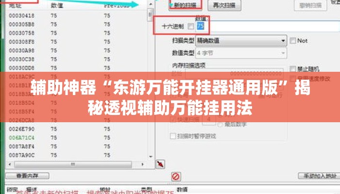 辅助神器“东游万能开挂器通用版”揭秘透视辅助万能挂用法