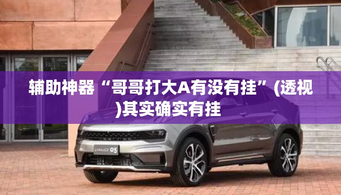 辅助神器“哥哥打大A有没有挂	”(透视)其实确实有挂 