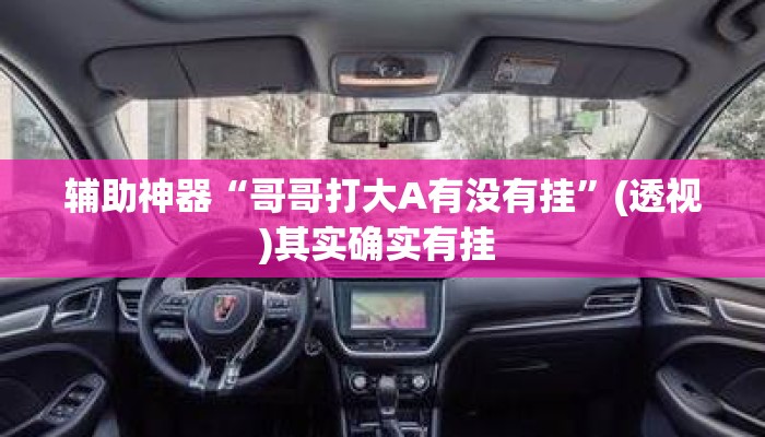 辅助神器“哥哥打大A有没有挂”(透视)其实确实有挂 