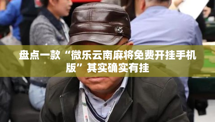 盘点一款“微乐云南麻将免费开挂手机版”其实确实有挂