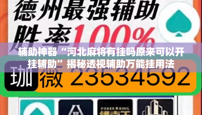 辅助神器“河北麻将有挂吗原来可以开挂辅助”揭秘透视辅助万能挂用法
