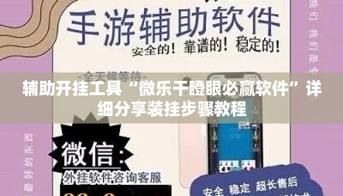 辅助开挂工具“微乐干瞪眼必赢软件	”详细分享装挂步骤教程