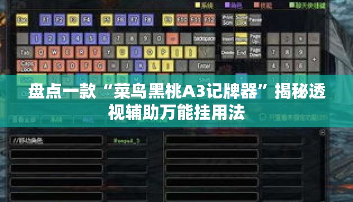 盘点一款“菜鸟黑桃A3记牌器”揭秘透视辅助万能挂用法
