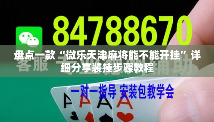 盘点一款“微乐天津麻将能不能开挂”详细分享装挂步骤教程