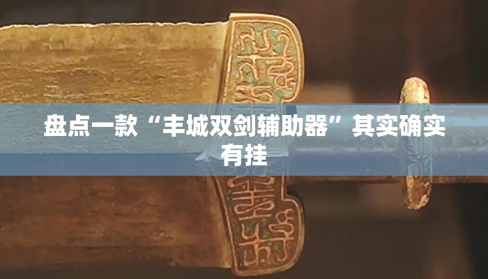 盘点一款“丰城双剑辅助器”其实确实有挂