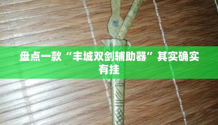 盘点一款“丰城双剑辅助器”其实确实有挂
