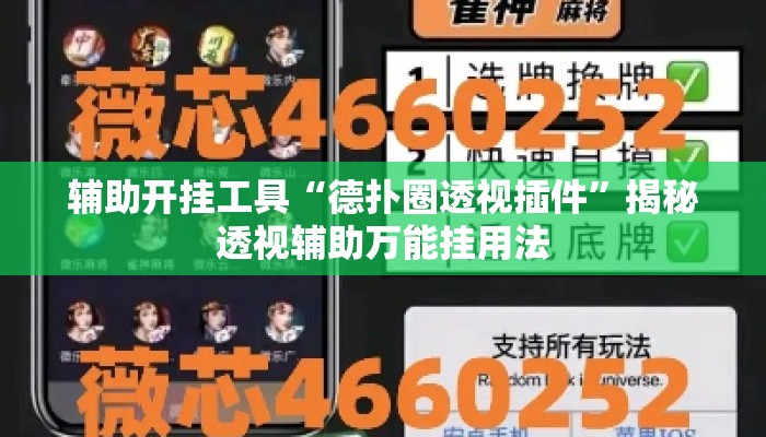 辅助开挂工具“德扑圈透视插件	”揭秘透视辅助万能挂用法