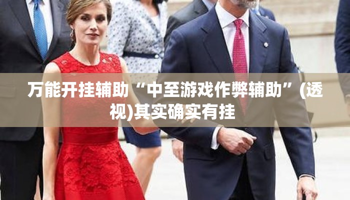 万能开挂辅助“中至游戏作弊辅助	”(透视)其实确实有挂 