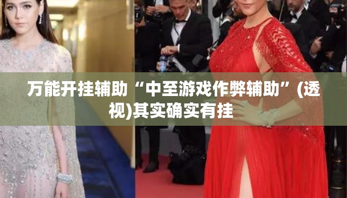 万能开挂辅助“中至游戏作弊辅助”(透视)其实确实有挂 
