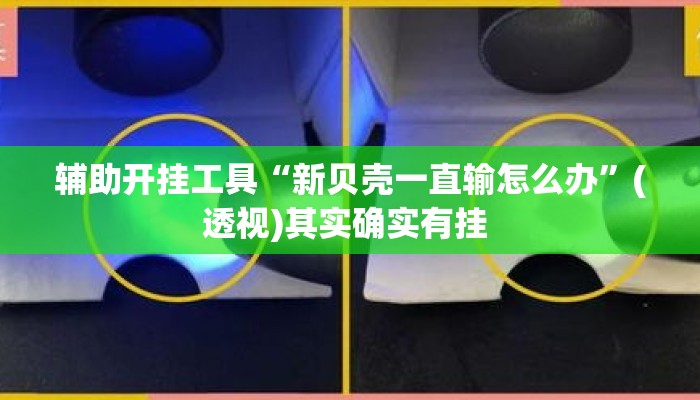 辅助开挂工具“新贝壳一直输怎么办	”(透视)其实确实有挂 
