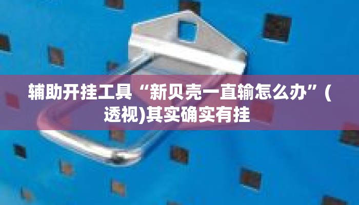 辅助开挂工具“新贝壳一直输怎么办”(透视)其实确实有挂 