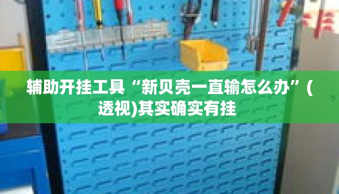 辅助开挂工具“新贝壳一直输怎么办”(透视)其实确实有挂 