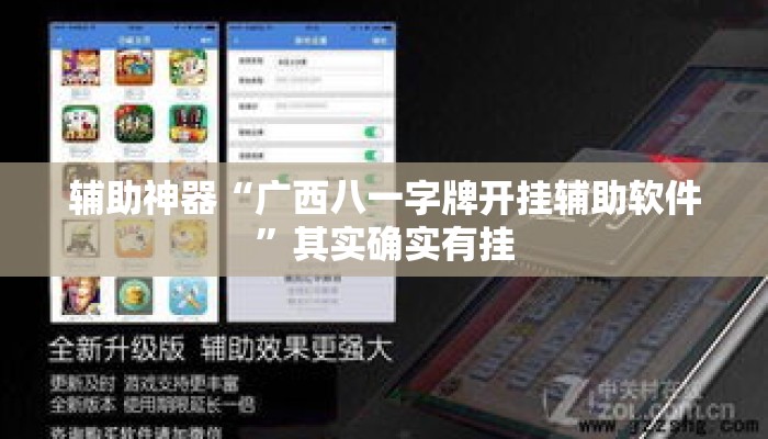 辅助神器“广西八一字牌开挂辅助软件”其实确实有挂