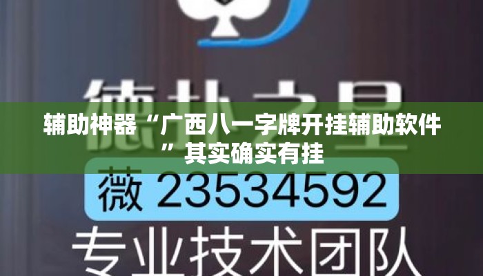 辅助神器“广西八一字牌开挂辅助软件	”其实确实有挂