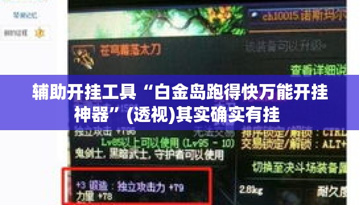 辅助开挂工具“白金岛跑得快万能开挂神器”(透视)其实确实有挂 